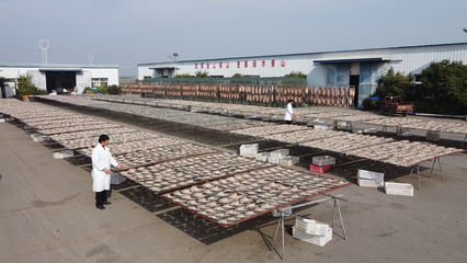 大冶 做足漁業文章，盤活水產經濟，打造特色農產品新名片